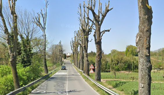 immagine annuncio 7 di 10