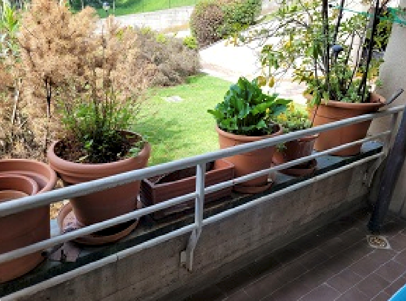 appartamento in vendita a Varese in zona Ippodromo