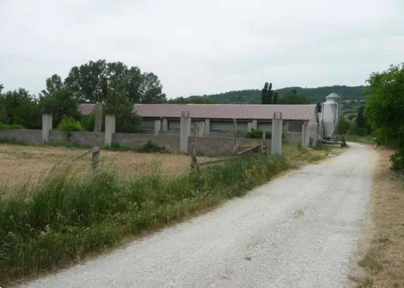 immagine annuncio 1 di 10