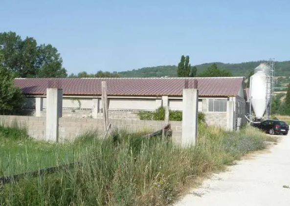 immagine annuncio 4 di 10