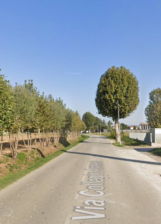 immagine annuncio 7 di 10