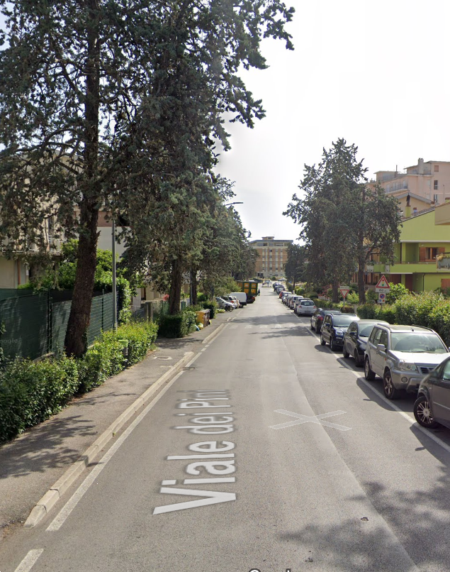 immagine annuncio 9 di 10
