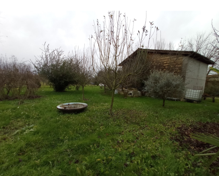 immagine annuncio 5 di 10