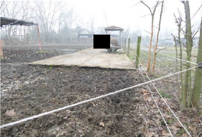 immagine annuncio 2 di 10