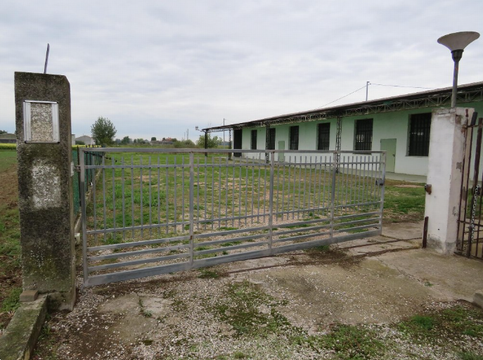 immagine annuncio 2 di 10