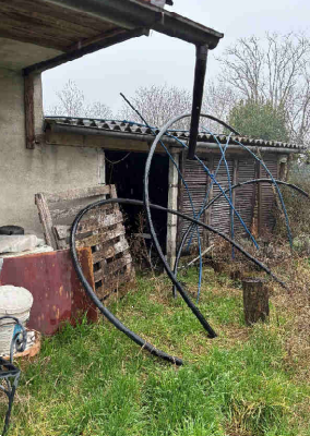 immagine annuncio 3 di 10