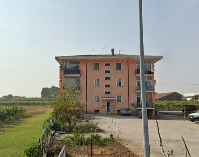 immagine annuncio 6 di 10