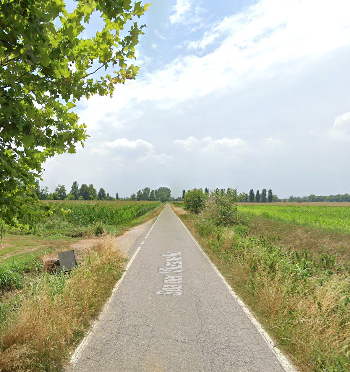 immagine annuncio 9 di 10
