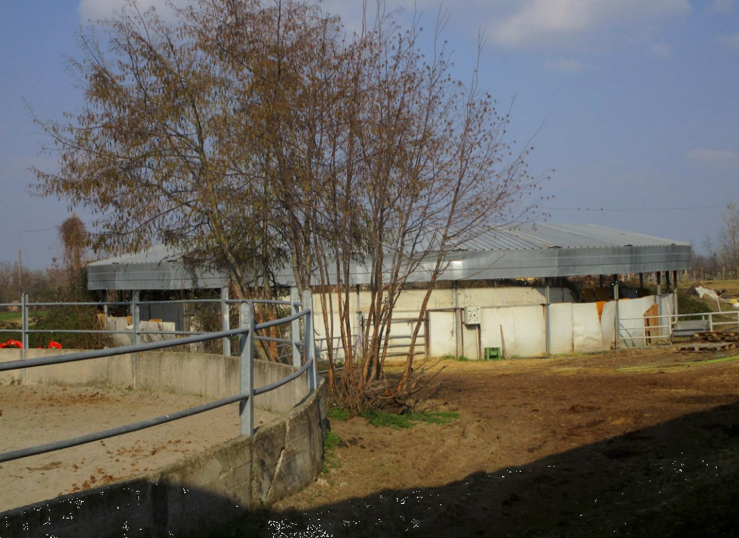 immagine annuncio 8 di 10