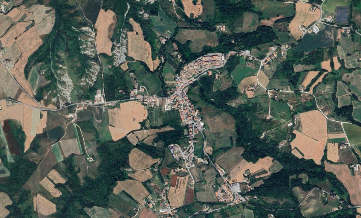 immagine annuncio 2 di 10