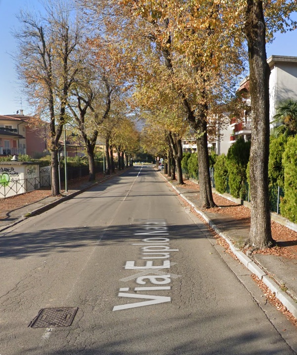 immagine annuncio 1 di 10
