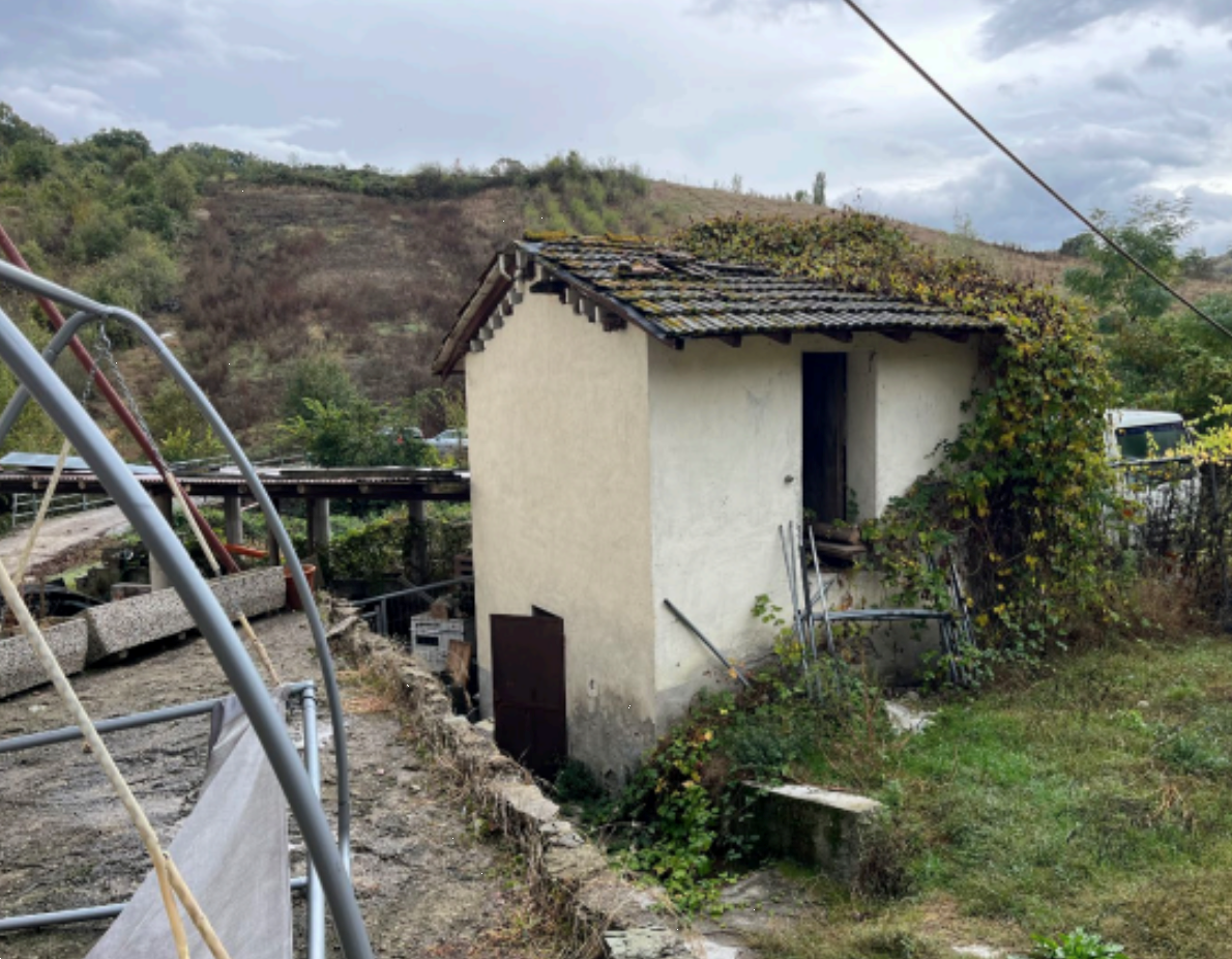 immagine annuncio 2 di 10