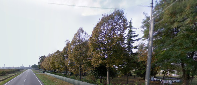 immagine annuncio 3 di 10