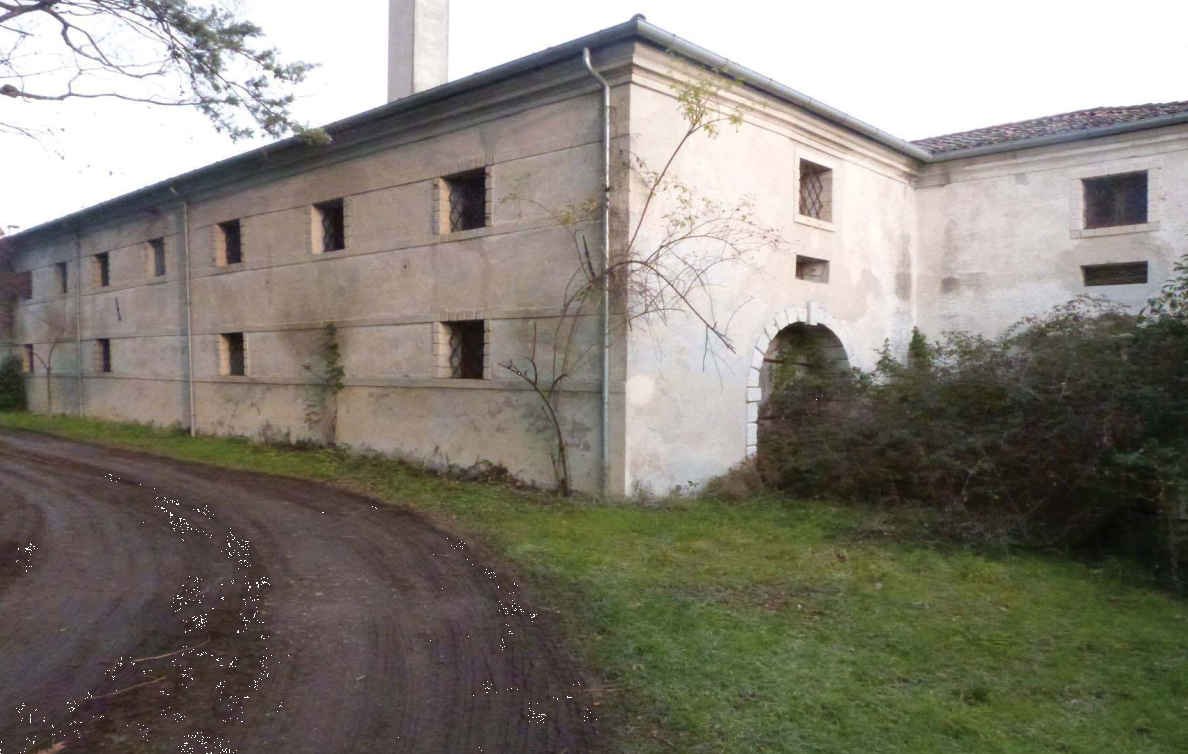immagine annuncio 7 di 10