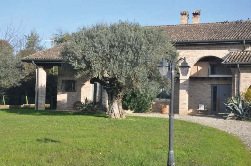 immagine annuncio 6 di 10