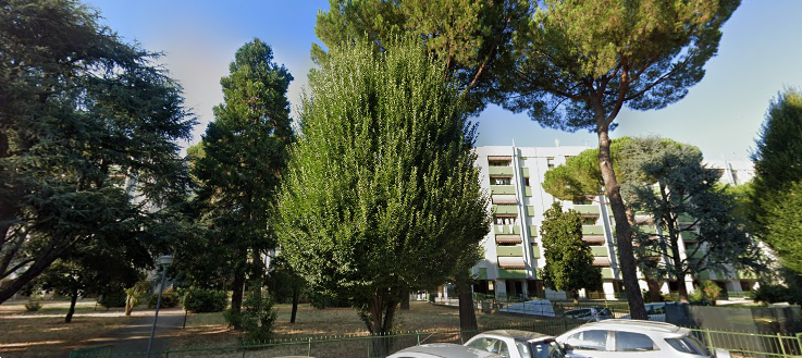 immagine annuncio 2 di 10