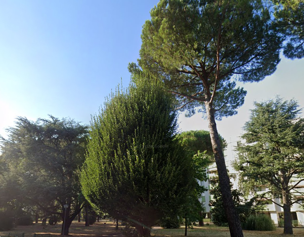 immagine annuncio 7 di 10
