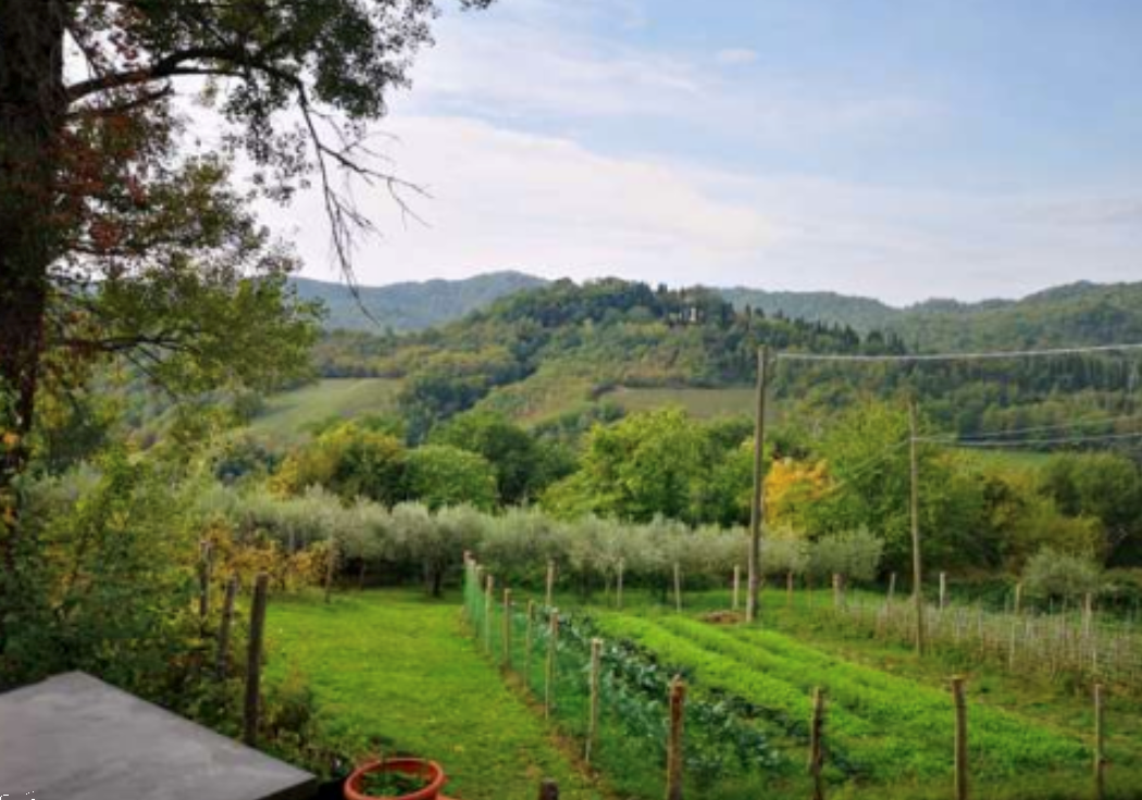 immagine annuncio 1 di 10