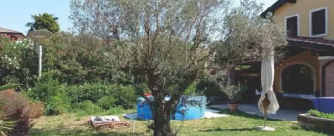 immagine annuncio 6 di 10