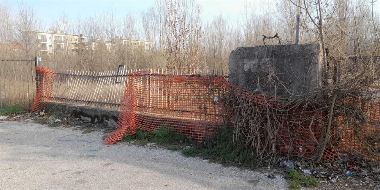immagine annuncio 3 di 10