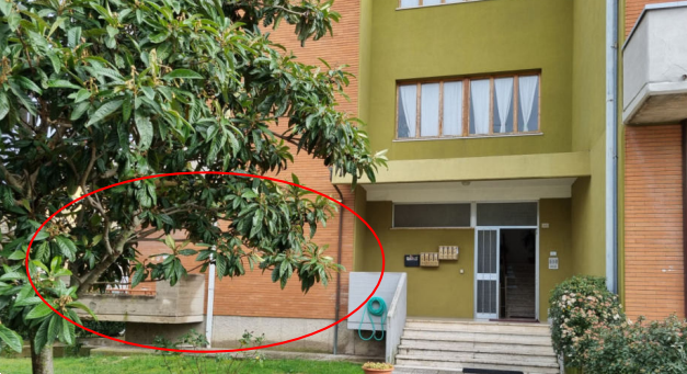 immagine annuncio 4 di 10