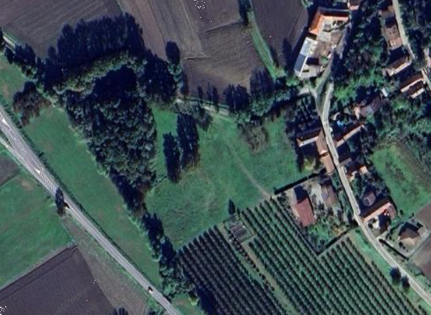 immagine annuncio 1 di 10