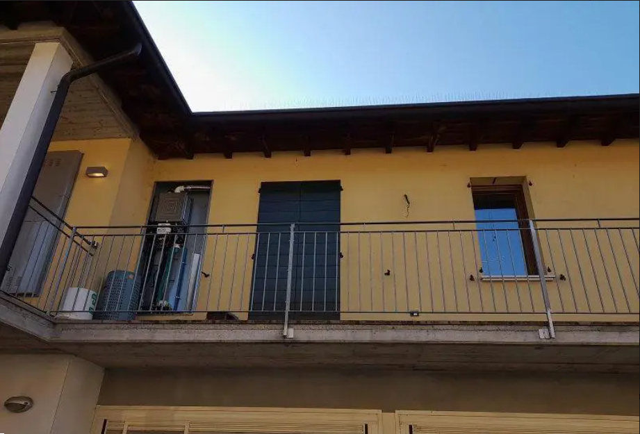 immagine annuncio 2 di 10