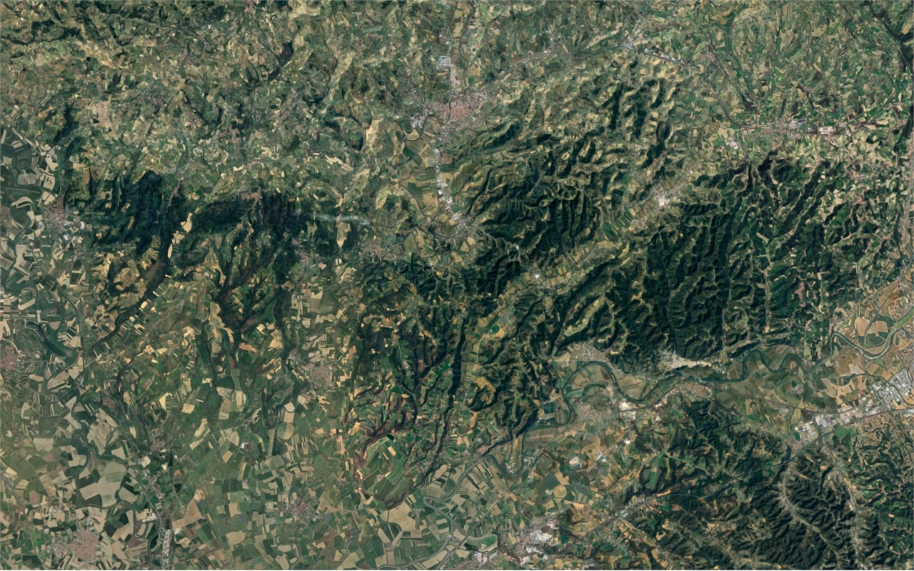 immagine annuncio 9 di 10