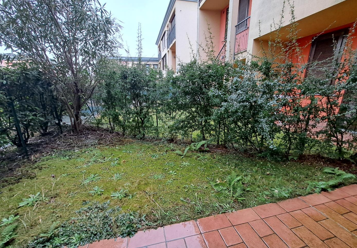 immagine annuncio 4 di 10