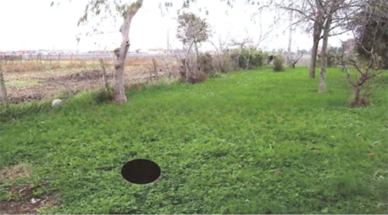 immagine annuncio 3 di 10