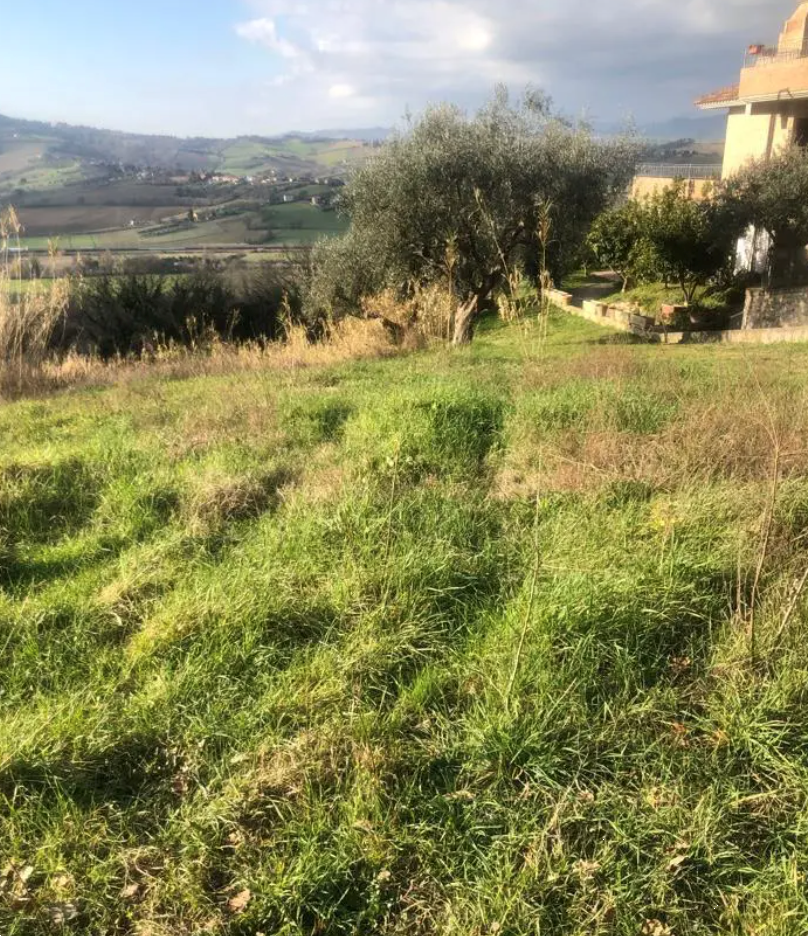 immagine annuncio 1 di 10