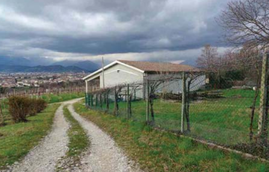 immagine annuncio 1 di 10