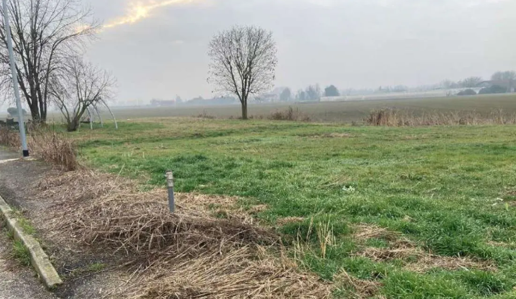 immagine annuncio 1 di 10