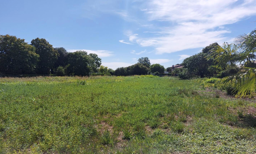 terreno edificabile in vendita a Porcia in zona Palse