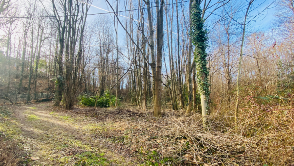 terreno agricolo in vendita a Rosta