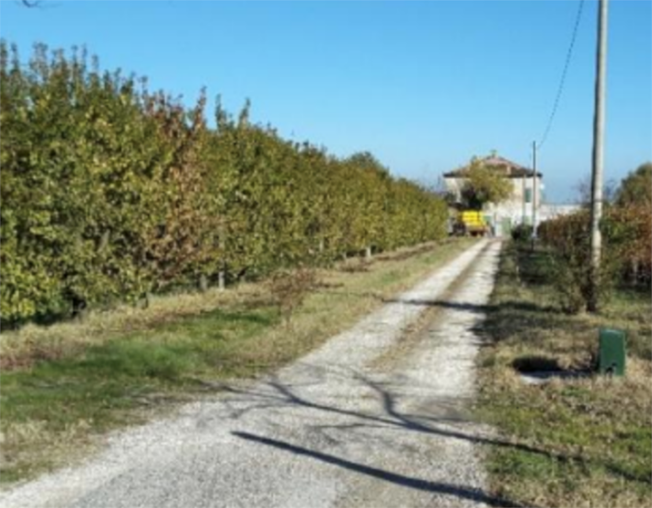 immagine annuncio 2 di 10