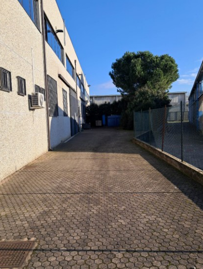 immagine annuncio 2 di 10