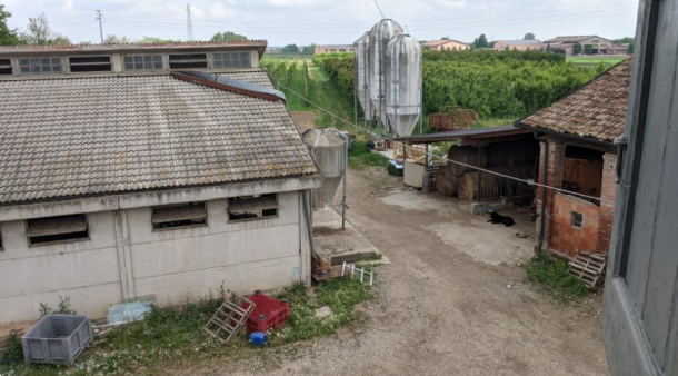 immagine annuncio 5 di 10