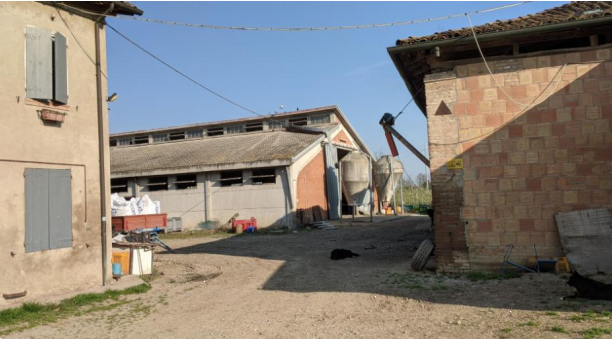 immagine annuncio 6 di 10
