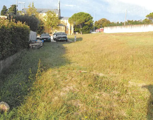 immagine annuncio 2 di 10