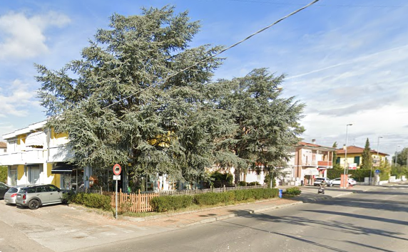 immagine annuncio 5 di 10