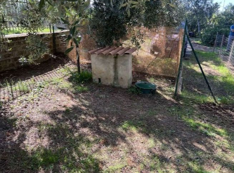 immagine annuncio 9 di 10