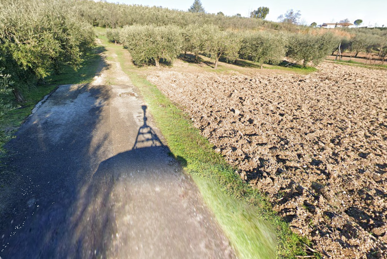 immagine annuncio 1 di 9