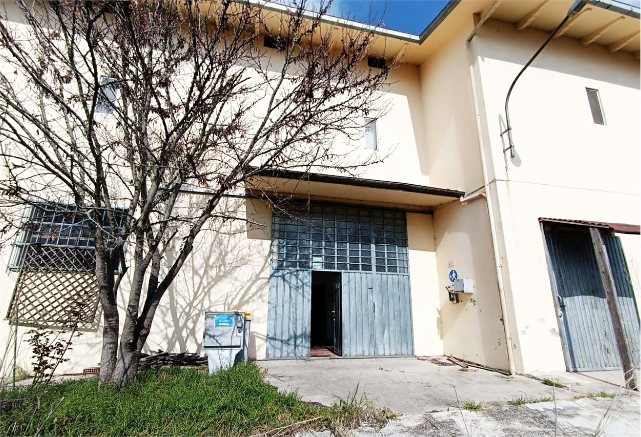 immagine annuncio 7 di 10