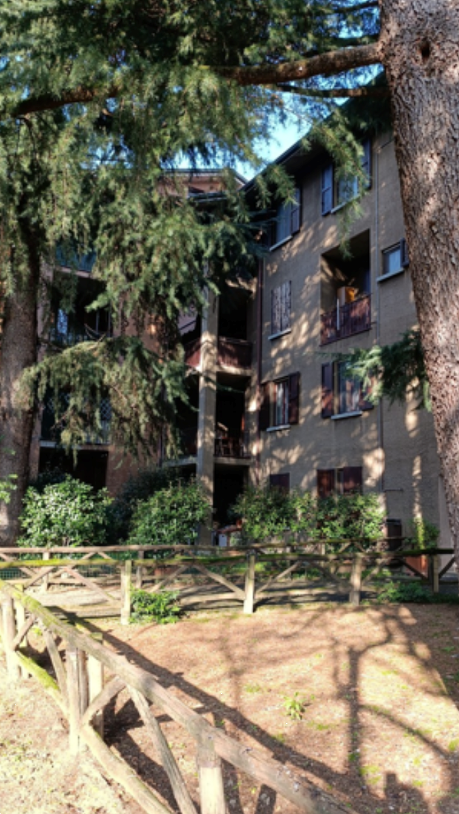 immagine annuncio 3 di 10