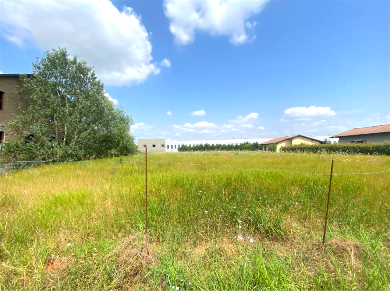 immagine annuncio 2 di 10