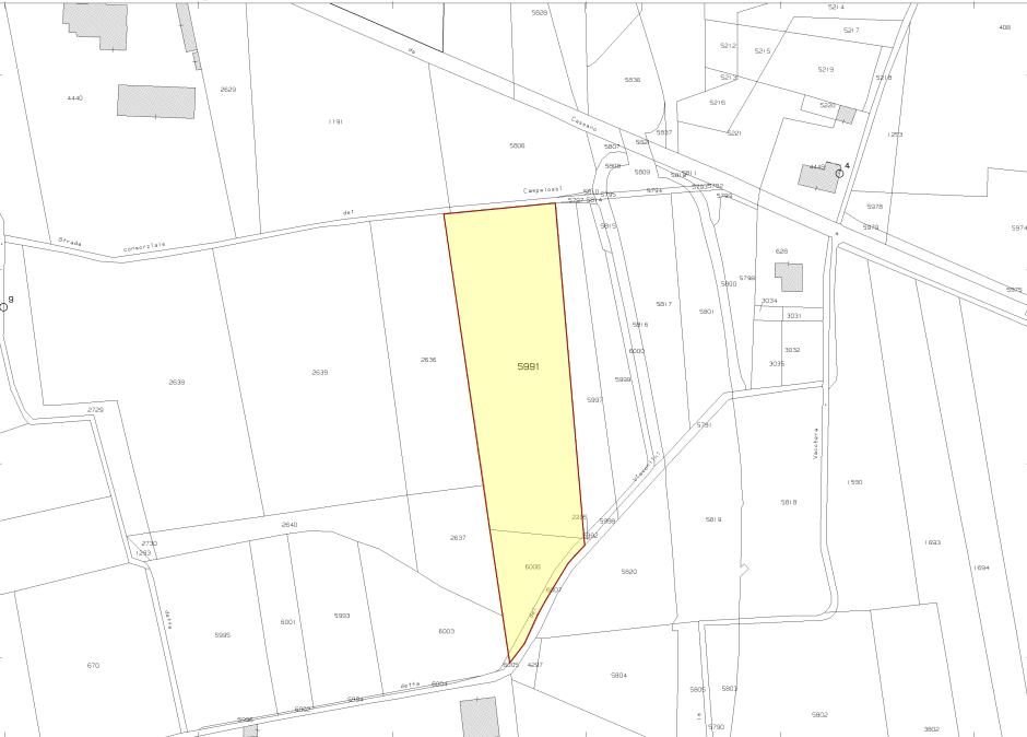 immagine annuncio 5 di 10