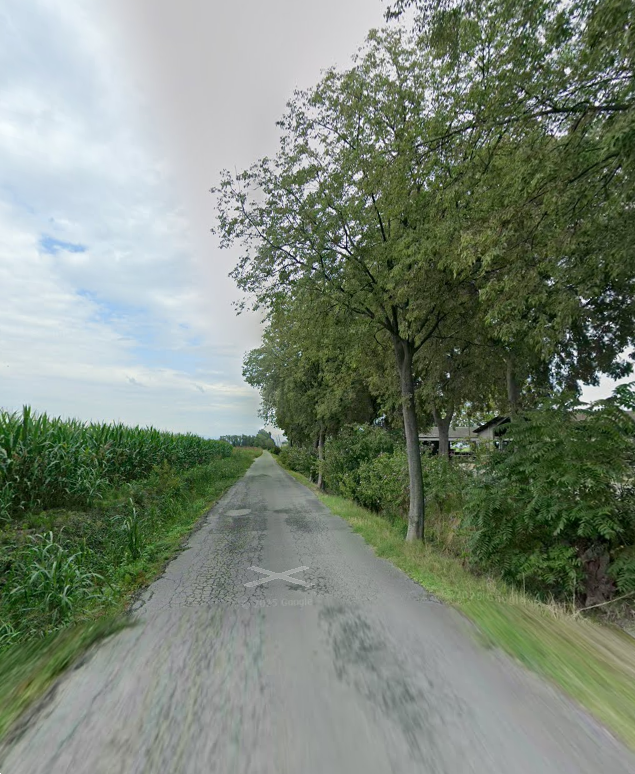 immagine annuncio 2 di 10