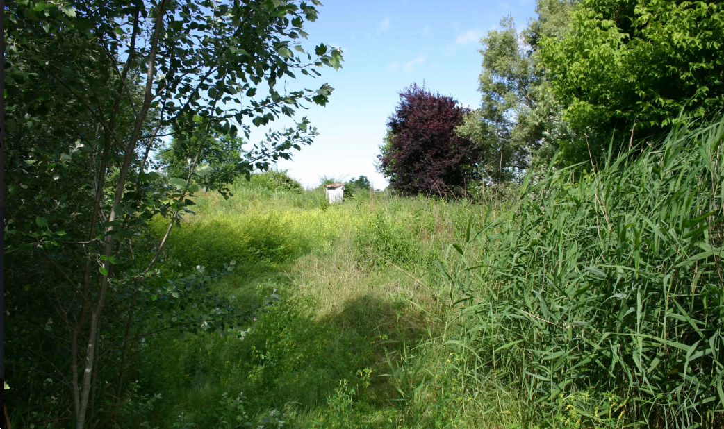 immagine annuncio 5 di 10