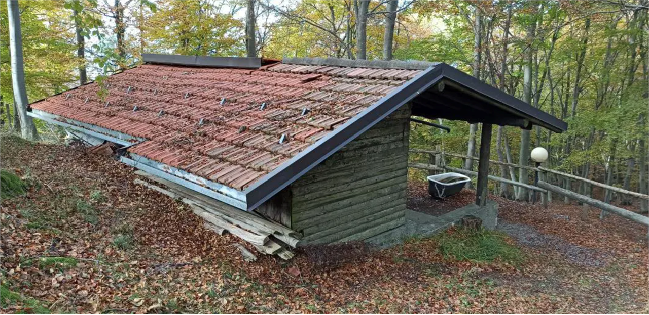 immagine annuncio 7 di 10